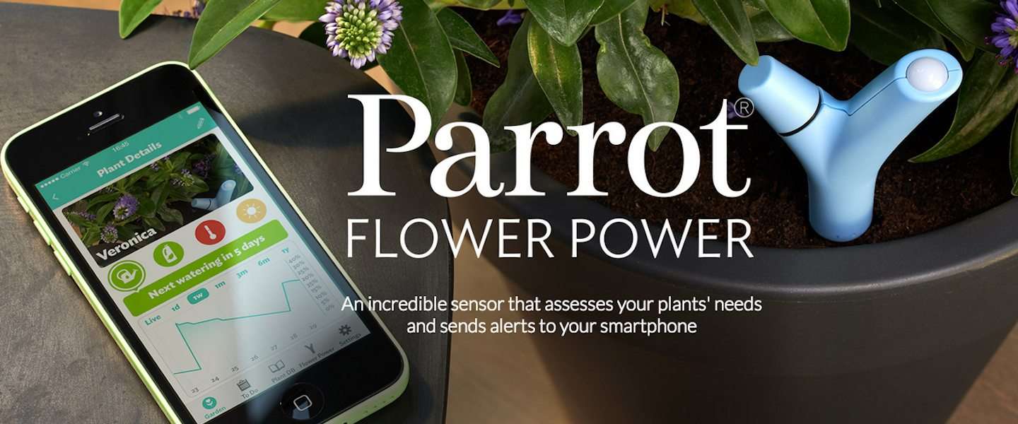 Parrot Flower Power : de wearable die de behoefte van je plant meet!