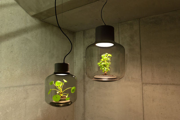 lamp-met-plant