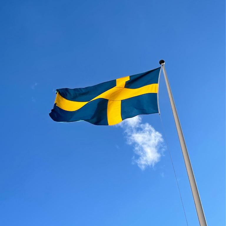 Zweedse vlag