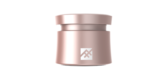 1493717479_441_9_coda_speaker___rosegold___front