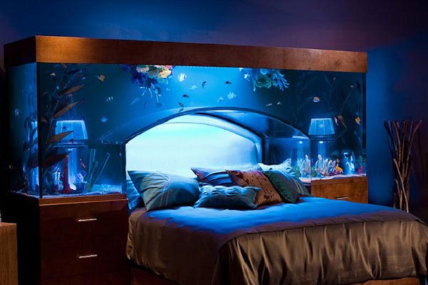 aquarium bed