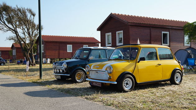 IMM_2018_Mini_6