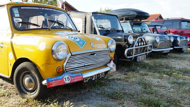 IMM_2018_Mini_7
