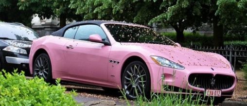 roze-maserati-grancabrio-te-roze-voor-st.jpg