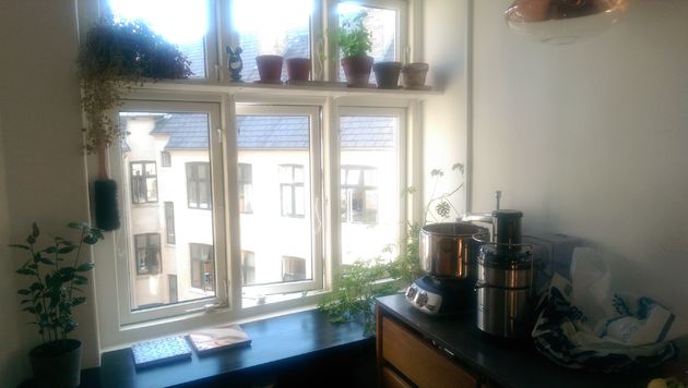 Sfeer-in-de-keuken-kruidentuintje