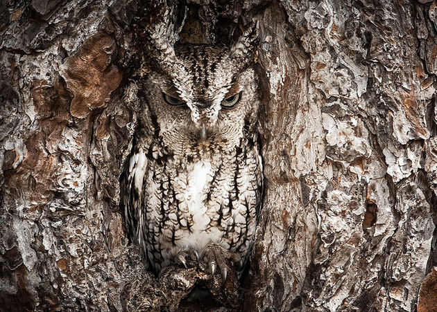 By Graham McGeorge