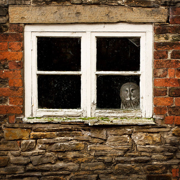 By Mark Bridger